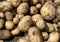 Pile of newly harvested potatoes -Â Solanum tuberosum on field. Harvesting potato roots from soil in homemade garden.